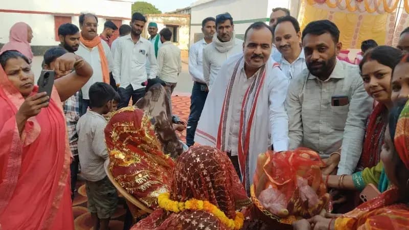 news-img