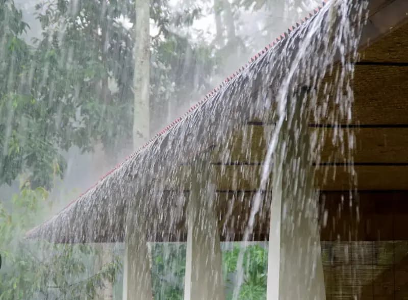 बारिश से मौसम हुआ कूल तो किसान हुए खुश