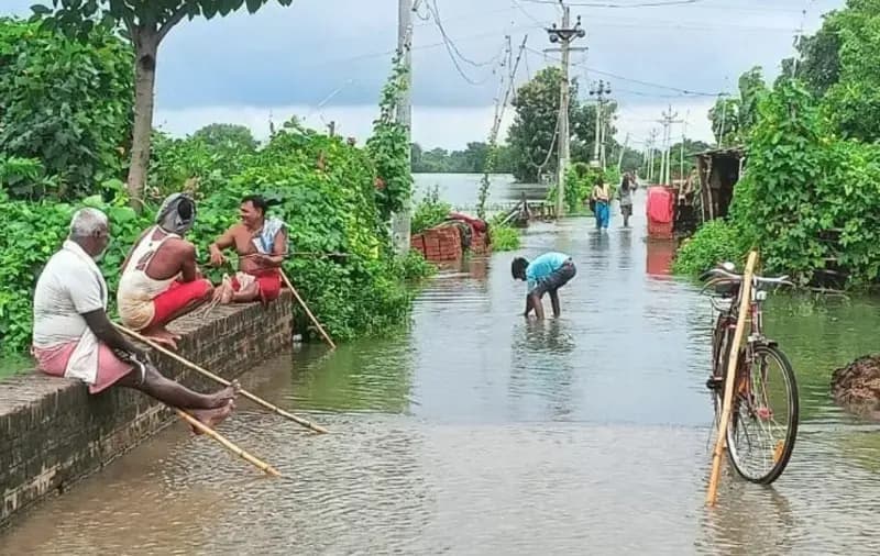 बाढ़ और बारिश ने धान के कटोरे को किया बेहाल। 
