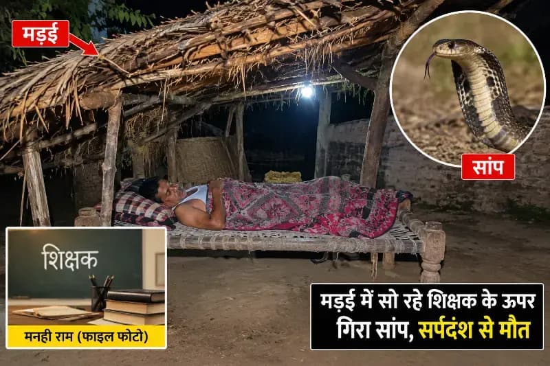 मड़ई में सो रहे शिक्षक के ऊपर गिरा सांप, सर्पदंश से मौत
