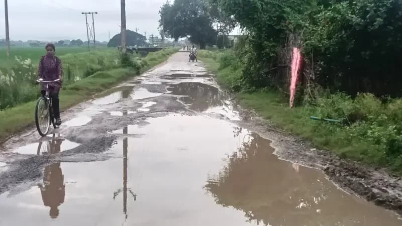 क्षतिग्रस्त भूसी मार्ग पर बने बड़े-बड़े गड्ढे, आवागमन में बढ़ी परेशानी